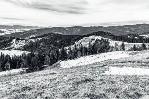 Karpat Dağları 'ndaki siyah beyaz dağ manzarası