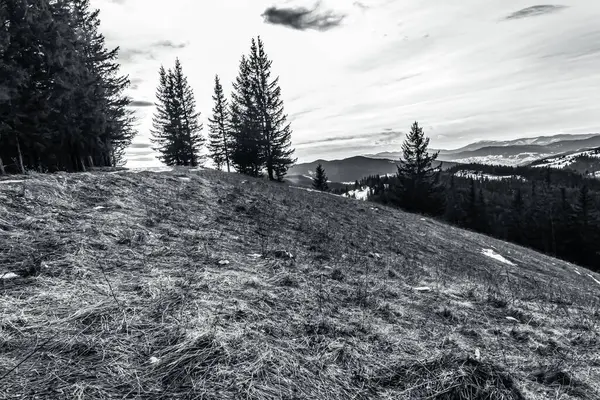 Avrupa 'da kış mevsiminde dağların ve ormanların güzel manzarası