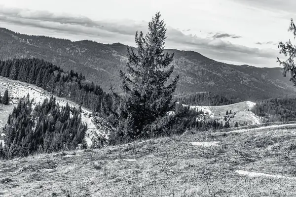 Dağları ve dağları olan güzel bir manzara. siyah beyaz fotoğraf. yüksek kaliteli fotoğraf