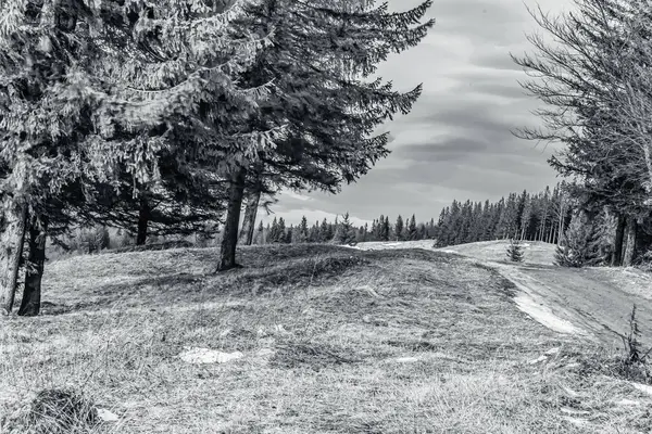 Bir yolu ve karla kaplı dağları olan güzel bir manzara.