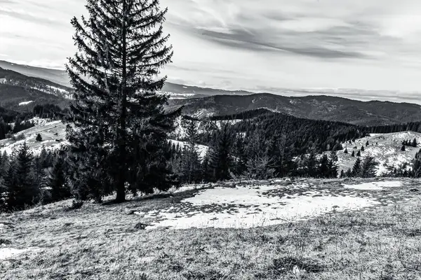 Karpatlar 'daki dağın siyah beyaz fotoğrafı.