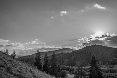 Orman, Karpatlar, Doğa Fotoğrafları - Avrupa, Doğu Avrupa, Romanya 