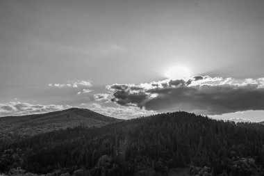 Orman, Karpatlar, Doğa Fotoğrafları - Avrupa, Doğu Avrupa, Romanya 