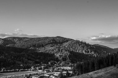 Orman, Karpatlar, Doğa Fotoğrafları - Avrupa, Doğu Avrupa, Romanya 