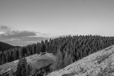 Karpat dağlarındaki dağ manzarası