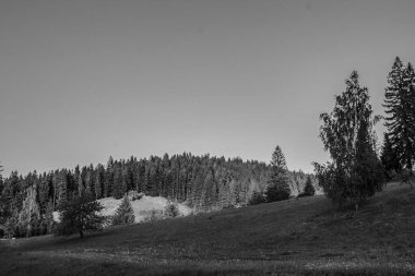 siyah beyaz fotoğraf.