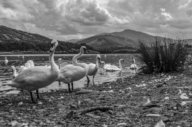 Dağlardaki güzel göl manzarası