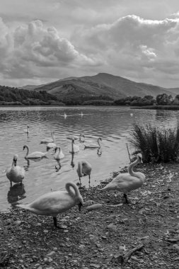 Dağlardaki gölün güzel manzarası. siyah ve beyaz resim.