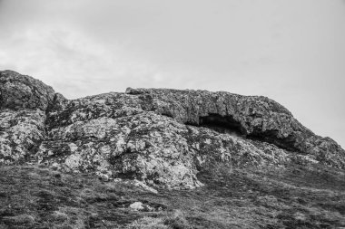 Orman, Karpatlar, Doğa Fotoğrafları - Avrupa, Doğu Avrupa, Romanya 