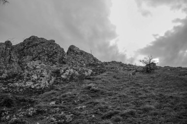 Dağların güzel manzarası