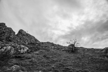 Karpatlar 'daki Karpatlar' ın manzarası. ukraine.