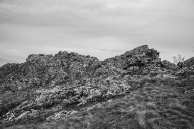 Kayalık bir arazinin güzel bir görüntüsü.