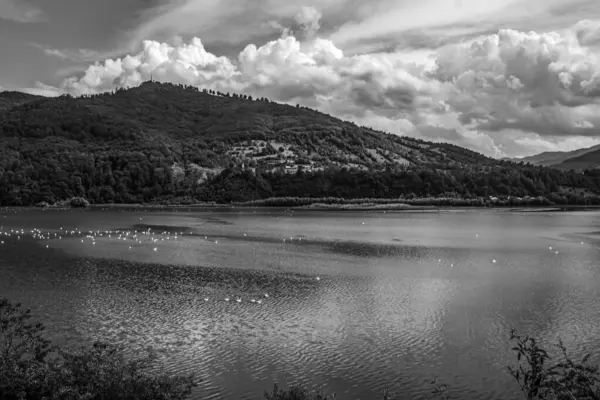 Gölün siyah ve beyaz manzarası