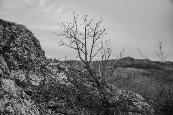 Dağların güzel manzarası