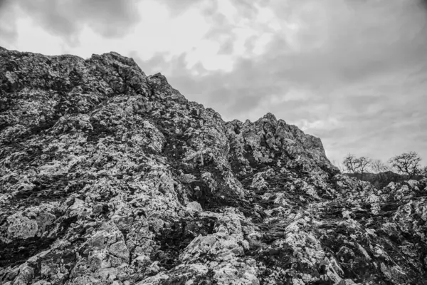 Dağ manzarasının siyah beyaz resmi. tatra dağları.