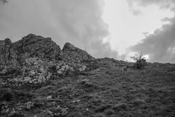 Dağların güzel manzarası