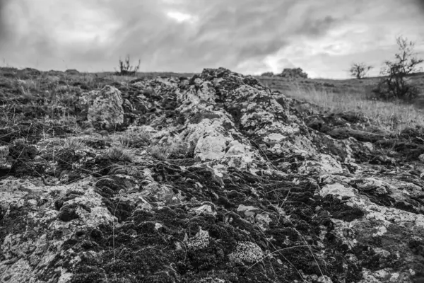 Kuru çimenler ve taşlarla kaplı arazi