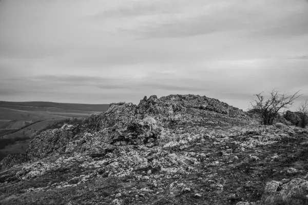 Dağları ve ağaçları olan güzel bir manzara.