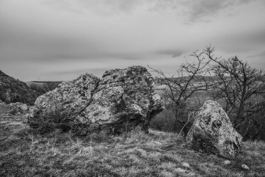 Bulutlu havada ormandaki dağların güzel manzarası.