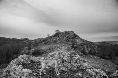 Dağlı güzel bir manzara.