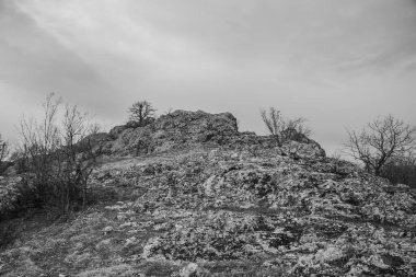 Doğanın güzel manzarası