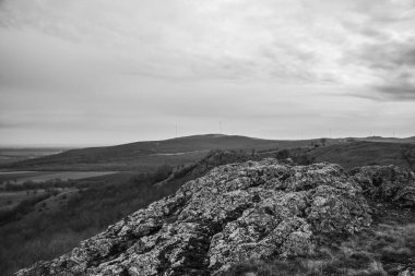 Doğanın güzel manzarası
