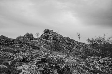 bir dağ manzarasının siyah beyaz fotoğrafı