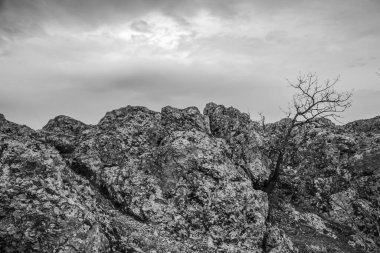 Dağların güzel manzarası