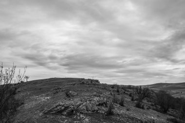 Ağacı olan güzel bir manzara