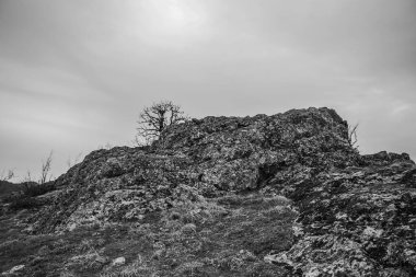 Kayalık dağların güzel bir görüntüsü