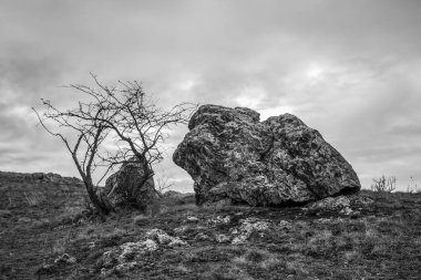 Büyük bir taşın tarlasında büyük bir taş.