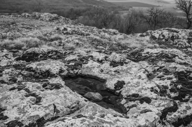 Ormanda eski bir taş