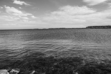 Baltık Deniz Kıyısı. siyah ve beyaz.