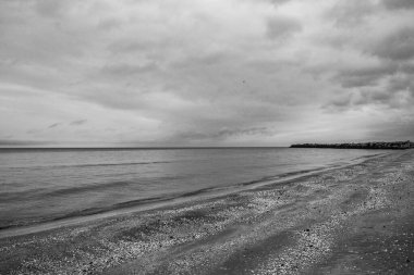 Sahilde siyah beyaz bir resim