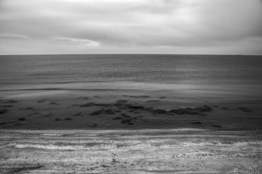 bir deniz plajının siyah beyaz fotoğrafı