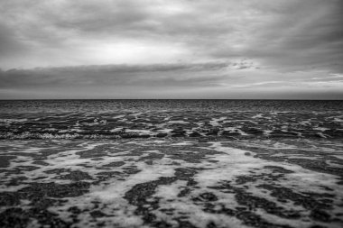 siyah ve beyaz görüntü, deniz ile güzel plaj, siyah ve beyaz fotoğraf