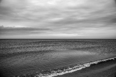 Baltık Denizi 'nde siyah beyaz deniz