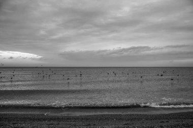 Deniz kıyısındaki siyah beyaz bulutlar