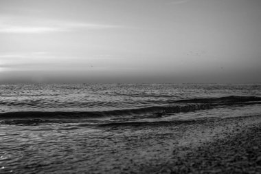 Dalgalı bir plajın siyah beyaz fotoğrafı