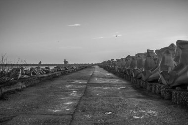 Güzel denizin siyah beyaz fotoğrafı.