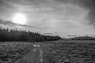 Ağacı olan güzel bir manzara