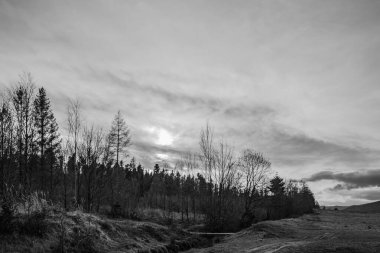 bir dağ manzarasının siyah beyaz fotoğrafı