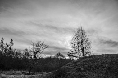 Doğanın güzel manzarası