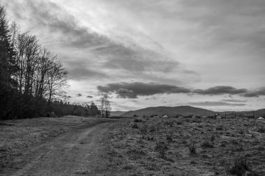 Dağlardaki yolun siyah ve beyaz görüntüsü.