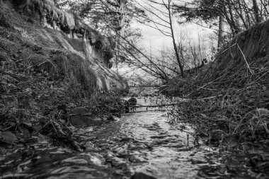 Ormandaki bir şelalenin dikey görüntüsü.