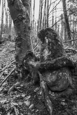 Ormandaki bir adamın siyah beyaz görüntüsü.