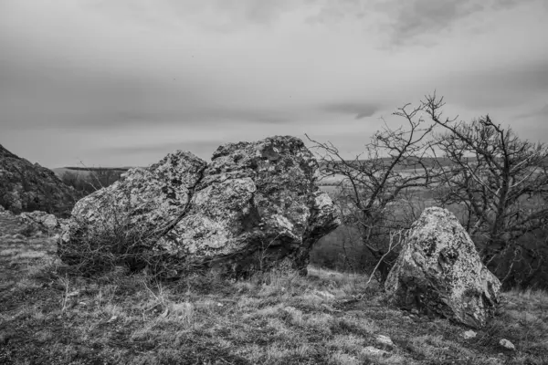 Bulutlu havada ormandaki dağların güzel manzarası.