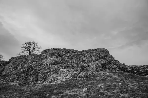 Karpatya dağlarındaki şatonun kayası