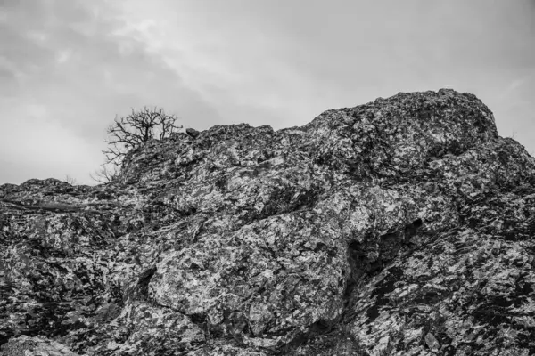 Kayanın tepesinde. siyah ve beyaz.