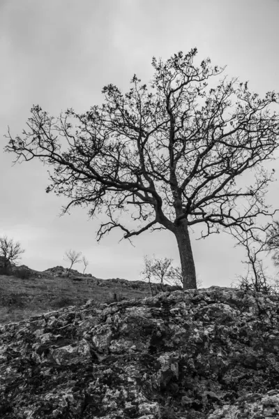 İspanya 'nın güzel manzarası.